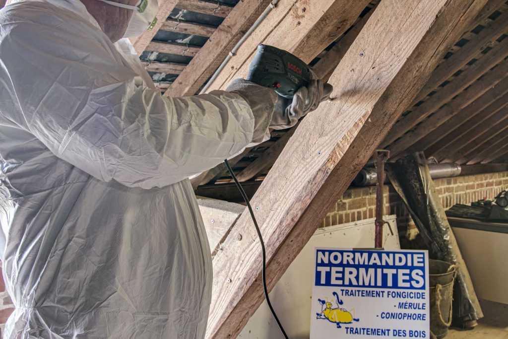 Traitement des bois à Brionne dans l'Eure & au Havre (Normandie)